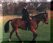 James on his Police Horse, Monty